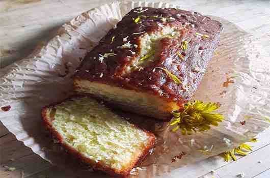 Dandelion Cake Recipe