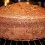 Chocolate Jiggly Cake Recipe