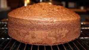 Chocolate Jiggly Cake Recipe