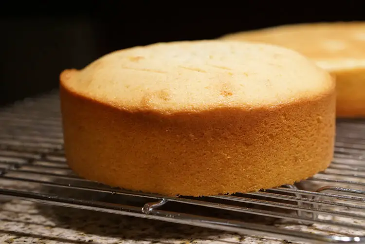 Vanilla Sponge Cake Recipes